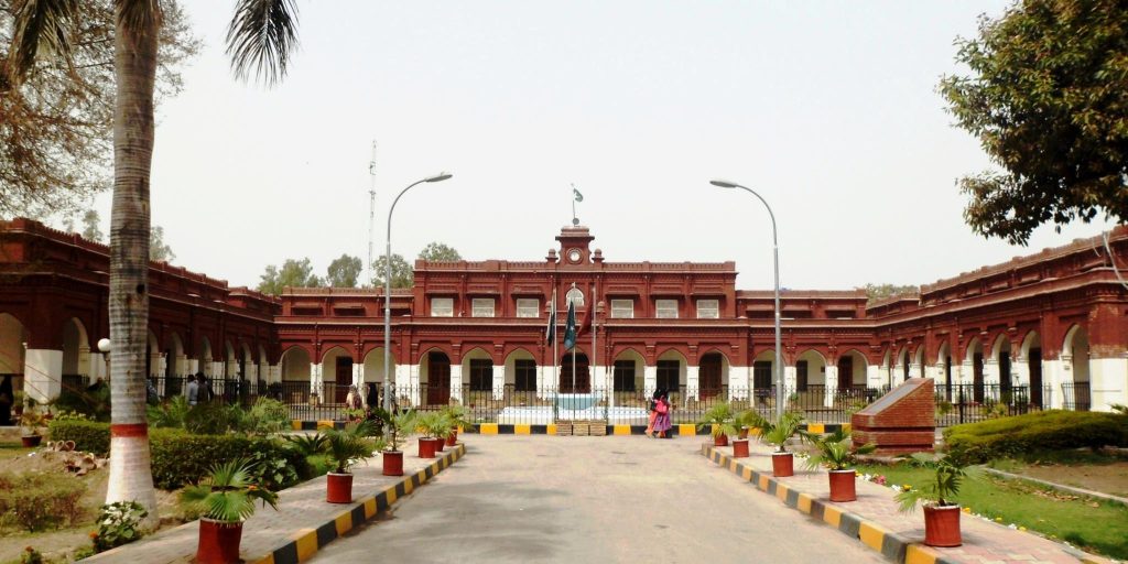 University Background